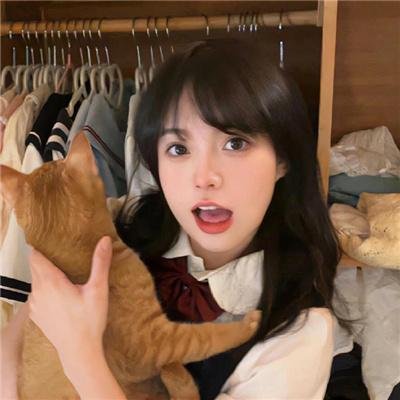 六人帮
